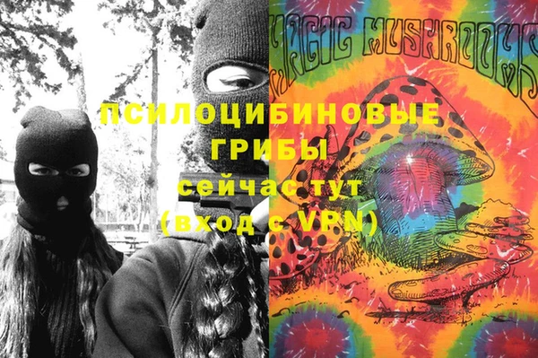 соль курить ск Бородино
