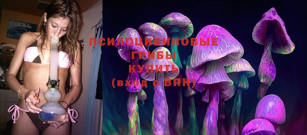 ГАЛЛЮЦИНОГЕННЫЕ ГРИБЫ Ростов