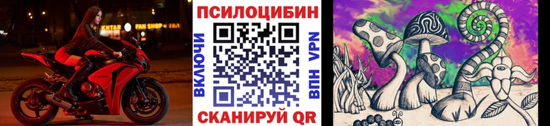 Псилоцибиновые грибы прущие грибы  Менделеевск 